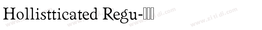 Hollistticated Regu字体转换